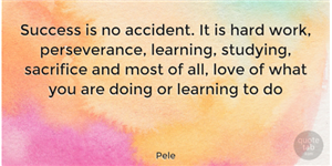Perseverance 